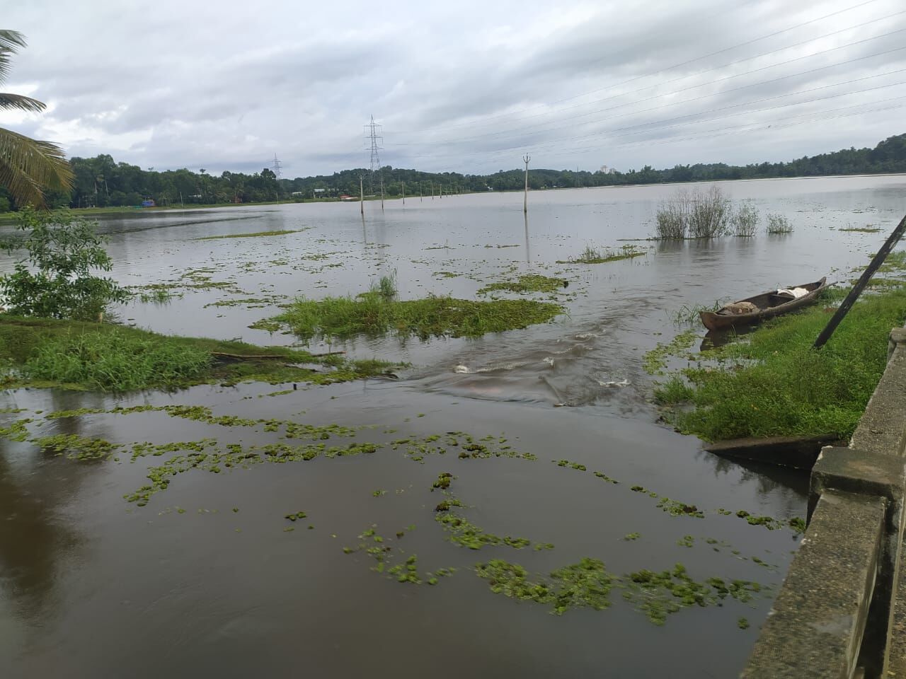 പുതുപ്പള്ളി മേഖലയിൽ വെള്ളം കയറിയപ്പോൾ