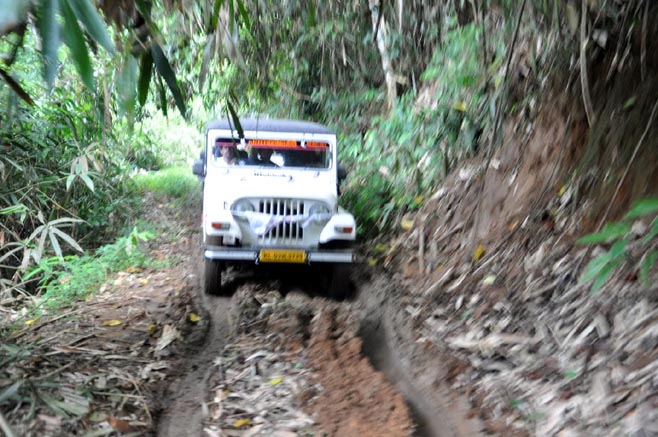 കാട്ടില്‍ നിലാവുണ്ട് നട്ടുച്ച നേരവും