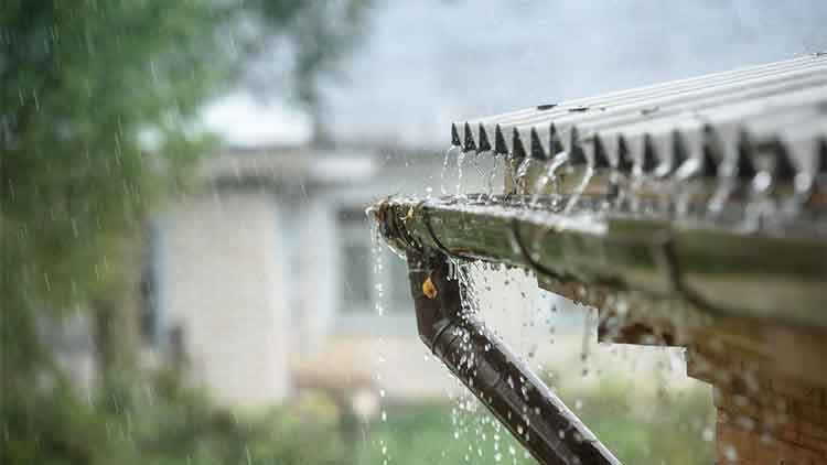 സമയം പാഴാ​​ക്കേണ്ട; മഴവരുന്നു ചിലത്​ ചെയ്യാനുണ്ട്​