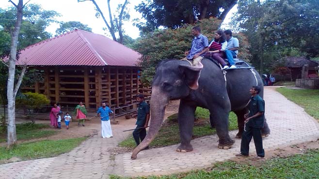 കോന്നിയില്‍ നിന്ന് അല്പം ആനക്കാര്യം