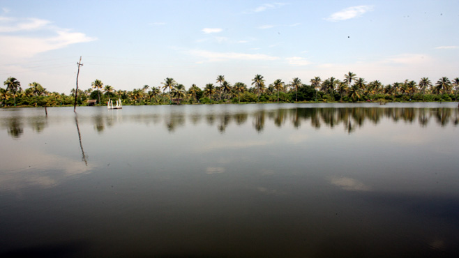 മീന്‍ പിടിച്ചുവീണ്ടും ആറ്റില്‍വിട ആശൈ