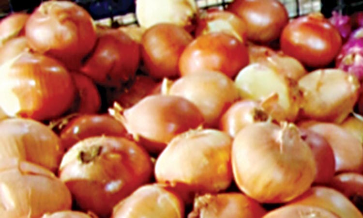 french-big-onion