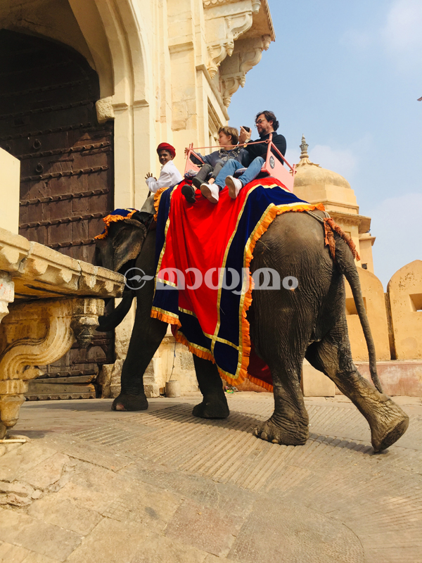 jaipur-Amber-palace