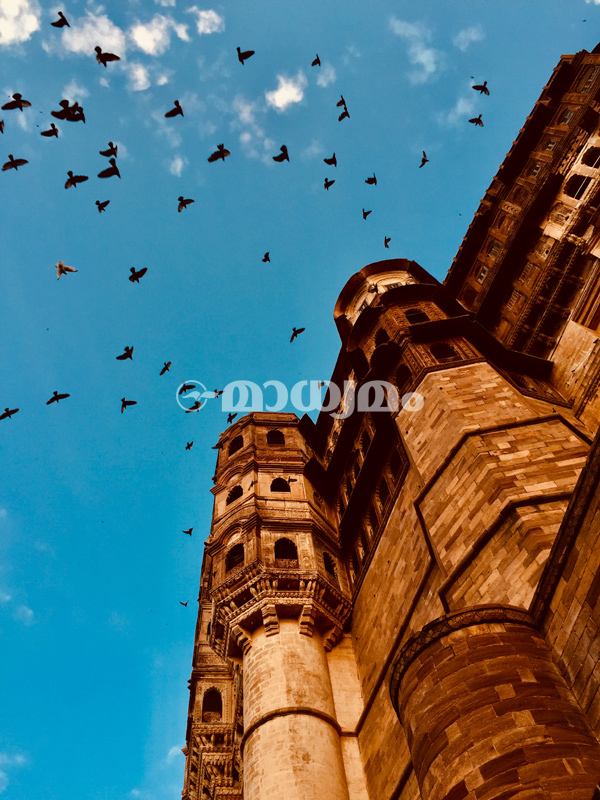 jaipur-meharangarh-fort