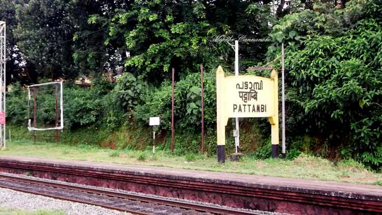 പട്ടാമ്പിയിൽ ഭയാനക സാഹചര്യം; താലൂക്കിൽ സമ്പൂർണ ലോക്​ഡൗൺ