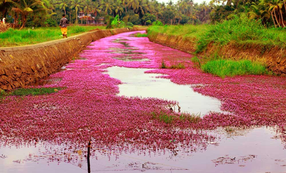 നിറം നിറഞ്ഞ്​