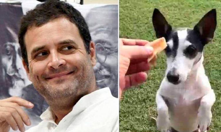 rahul-and-pidi